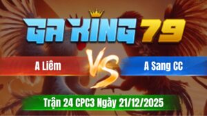 Trận 24 CPC3 Ngày 21/12/2025 - Điều đá bo xe đụng bướm rụng tay nước đầu