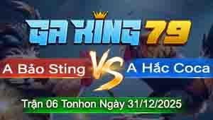 Trận 06 Tonhon 31/12/2025