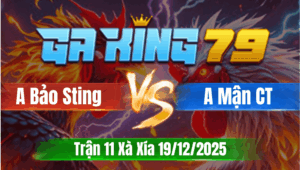 Trận 11 Xà Xía 19/12/2025 - Idol Bảo Sting Vs Anh Mận Cần Thơ