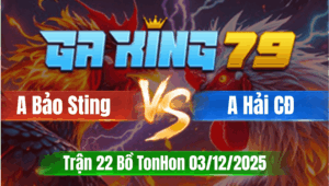 Trận 22 TonHon 03/12/2025 - Anh Bảo Sting Và Anh Hải Châu Đốc