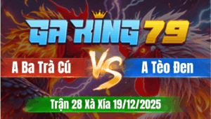Trận 28 Xà Xía 19/12/2025 - Gà Anh Ba Trà Cú Đá Đúng 1 Chân Lum Lúa