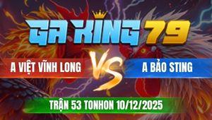 Trận 53 TonHon 10/12/2025 - Bướm Chồng Độ Đá Gà Úa Bảo Sting Kêu Ót Ót