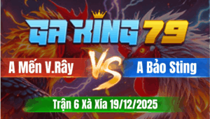 Trận 6 Xà Xía 19/12/2025 - Anh Mến V.Rây Vs Anh Bảo Sting