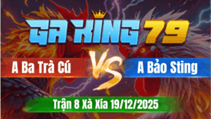 Trận 8 Xà Xía 19/12/2025 - Anh Ba Trà Cú Vs Anh Bảo Sting