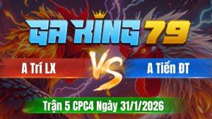 Trận 5 CPC4 Ngày 31/01/2026 - Điều chân vàng đá như súng bắn mau lẹ gom lúa