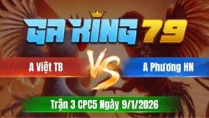 Trận 3 CPC5 Ngày 09/01/2026 - Đỏ tự xử xanh đứng nhìn vô kiến đỏ tháo cầu chì xanh về bờ