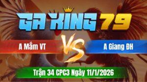 Trận 34 CPC3 Ngày 11/01/2026 - Về ô xanh qua đá lúc cây lưng đỏ bung bồ