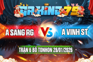 Trận 6 Tonhon 28/01/2026 – A Sang RG vs A Vinh ST