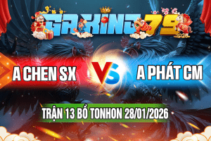 Trận 13 Tonhon 28/01/2026 – A Chen SX vs A Phát CM