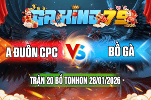 Trận 20 Tonhon 28/01/2026 – A Đuôn CPC vs Bồ Gà