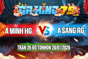 Trận 26 Tonhon 28/01/2026 – A Minh HG vs A Sang RG
