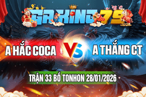 Trận 33 Tonhon 28/01/2026 – A Hắc CoCa vs A Thắng CT