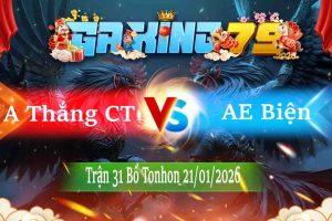 Tran 31 Tonhon 21012026