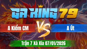 Trận 7 Xà Xía 07/01/2026 - Gà Anh Kiểm Cà Mau Kết Thúc Nhanh Gọn