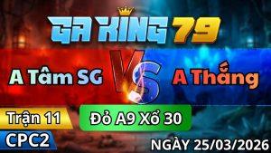 Trận 11 CPC2 Ngày 25/3/2026 - Gà vàng hấp tấp úa kẹp cây đem đi hấp