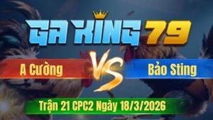 Trận 21 CPC2 Ngày 18/3/2026 - Điều ra sân đá đúng chân bướm hết đứng