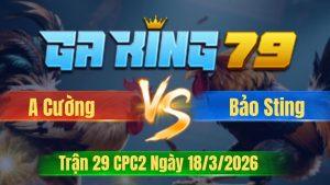 Trận 29 CPC2 Ngày 18/3/2026 - Xám chuối đá thúi tủ gà điều chỉ 3 chân