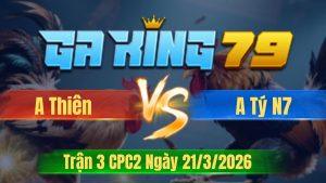 Trận 3 CPC2 Ngày 21/3/2026 - Điều đỏ bỏ giỏ điều vàng 1 chân 1