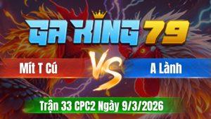 Trận 33 CPC2 Ngày 9/3/2026 - Điều hiệu mít có chân mít đốc về bờ