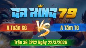Trận 36 CPC2 Ngày 22/3/2026 - Đỏ cứng mình gồng hòa tang lại may mắn