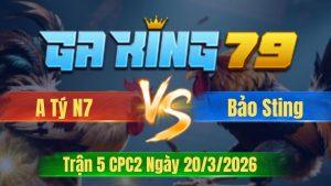 Trận 5 CPC2 Ngày 20/3/2026 - Vàng chụp siết tay nước khét xong phim