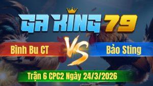 Trận 6 CPC2 Ngày 24/3/2026 - Chuối có chân tắc cầu giao điều gãy liền