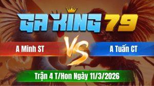 Trận 4 T/Hon Ngày 11/3/2026 - Bướm đá như sao sít về bờ tay nước đầu