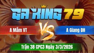 Trận 38 CPC3 Ngày 3/3/2026 - Điều cao tàng cản gió bướm nhét cây nách ói cơm