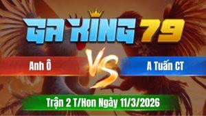 Trận 2 T/Hon Ngày 11/3/2026 - Xanh đá chân XL đưa biện xa bờ