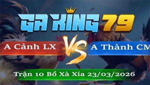 Tran 10 Xa Xia 23032026