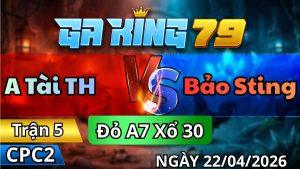 Trận 5 CPC2 Ngày 22/01/2026 - Đỏ Phản Công Đâm Cựa Trúng Tử Huyệt Đỏ Gục Ngã