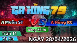 Trận 11 Xà Xía Ngày 28/04/2026 - Cú 4 dách gà không chỗ chê buôn đuôi lấy tiền
