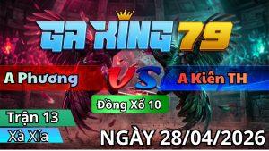Trận 13 Xà Xía Ngày 28/04/2026 - Cú chấp chế ép gà điều đưa tiễn đi xa bờ