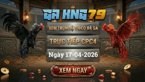 Xem Full Video Đá Gà CPC4 Ngày 17/04/2026