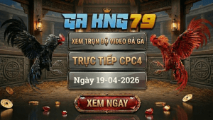 Xem Full Video Đá Gà CPC4 Ngày 19/04/2026