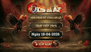Xem Full Video Đá Gà CPC5 Ngày 18/04/2026