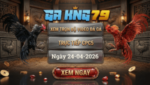 Xem Full Video Đá Gà CPC5 Ngày 24/04/2026