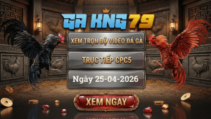 Xem Full Video Đá Gà CPC5 Ngày 25/04/2026
