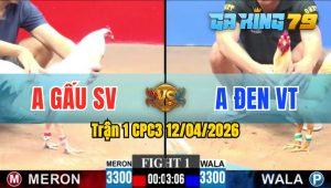 Trận 1 CPC3 12/04/2026 - Gà Bướm Anh Đen VT Mở Bát Mát Tay