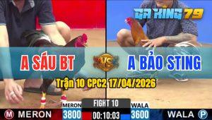 Trận 10 CPC2 17/04/2026 - Gà Khét Anh Bảo Sting Đá Đâm Như Giang Hồ