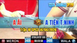 Trận 10 CPC3 14/04/2026 - Gà Anh Ái Đá Siết Lụm Đối Thủ Nhanh Gọn