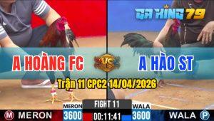 Trận 11 CPC2 14/04/2026 - Gà Anh Hào ST Đá Toàn Canh Đâm Mu Lưng