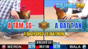 Trận 11 CPC3 12/04/2026 - Gà Điều Anh Đạt Tân An Tải Cựa Quá Tốt