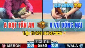 Trận 11 CPC3 16/04/2026 - Gà Điều Anh Vũ Đồng Nay Tải Cựa Quá Tốt