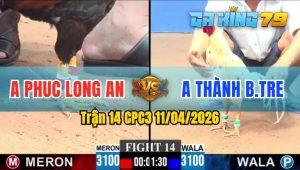 Trận 14 CPC3 11/04/2026 - Gà Anh Phúc Long An Đá Như Vũ Bão