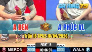 Trận 15 CPC2 18/04/2026 - Gà Điều Anh Đen Đá Cái Bo Như Xe Đụng