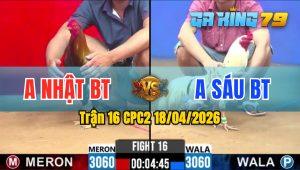 Trận 16 CPC2 18/04/2026 - Gà Anh Nhật Bến Tre Thắng Chỉ Trong 3 Chân