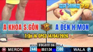 Trận 16 CPC3 14/04/2026 - Gà Điều Anh Khoa Sài Gòn Đá Đòn Quá Hiểm