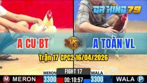 Trận 17 CPC2 16/04/2026 - Gà Bướm Anh Cu BT Đá Cựa Quá Hiểm