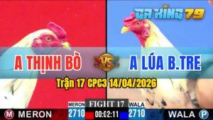 Trận 17 CPC3 14/04/2026 - Gà Anh Thịnh Bò Dí Đối Thủ Chạy Quanh Bồ